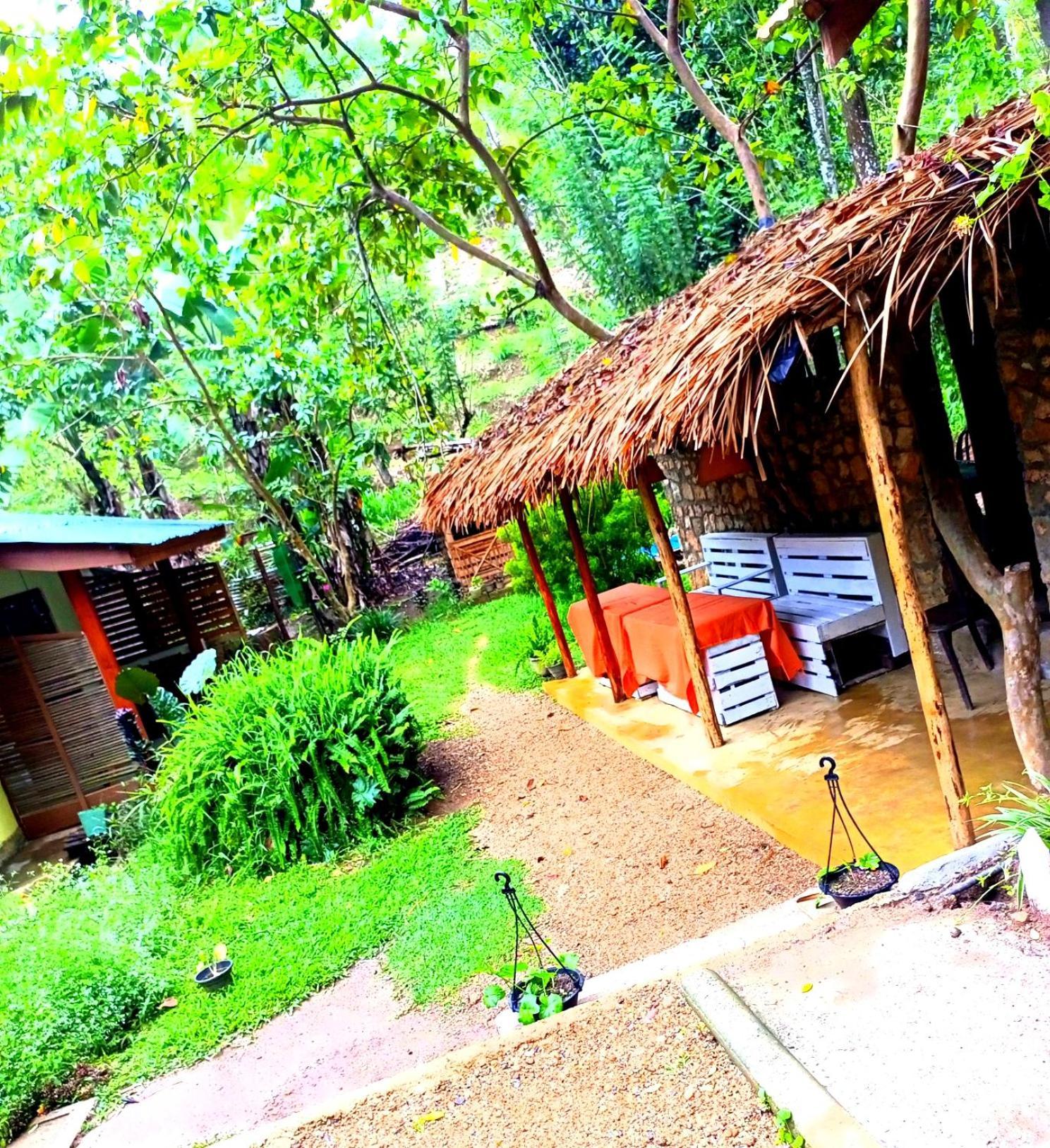 Ella Foret Accommodation Exterior photo